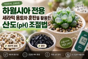 하월시아 건강한 용토와 pH 조절법