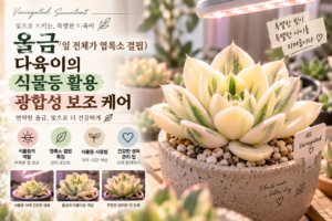 식물등으로 지키는 올금 다육이