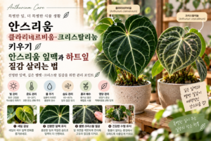 안스리움 클라리네르비움, 크리스탈리눔, 안스리움 잎맥